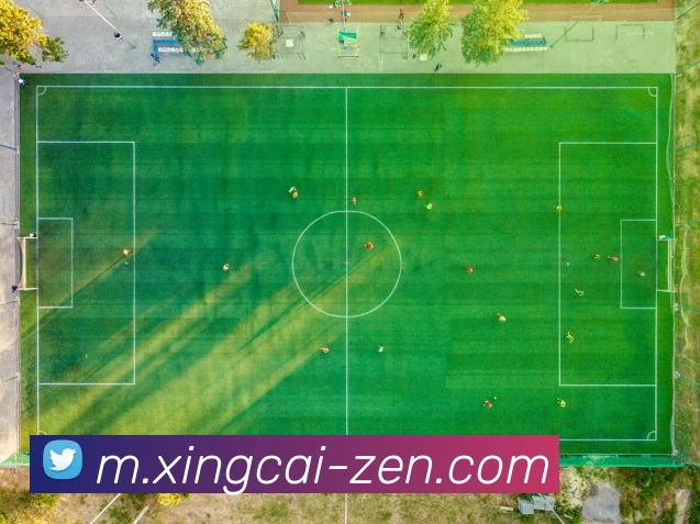 多媒体互动体验